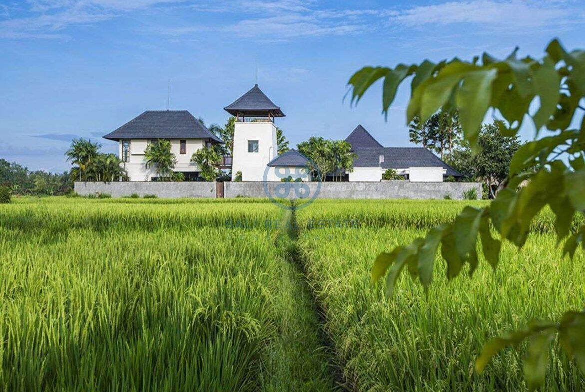 3 bedrooms villa bali style ricefield view kedungu for sale rent 26