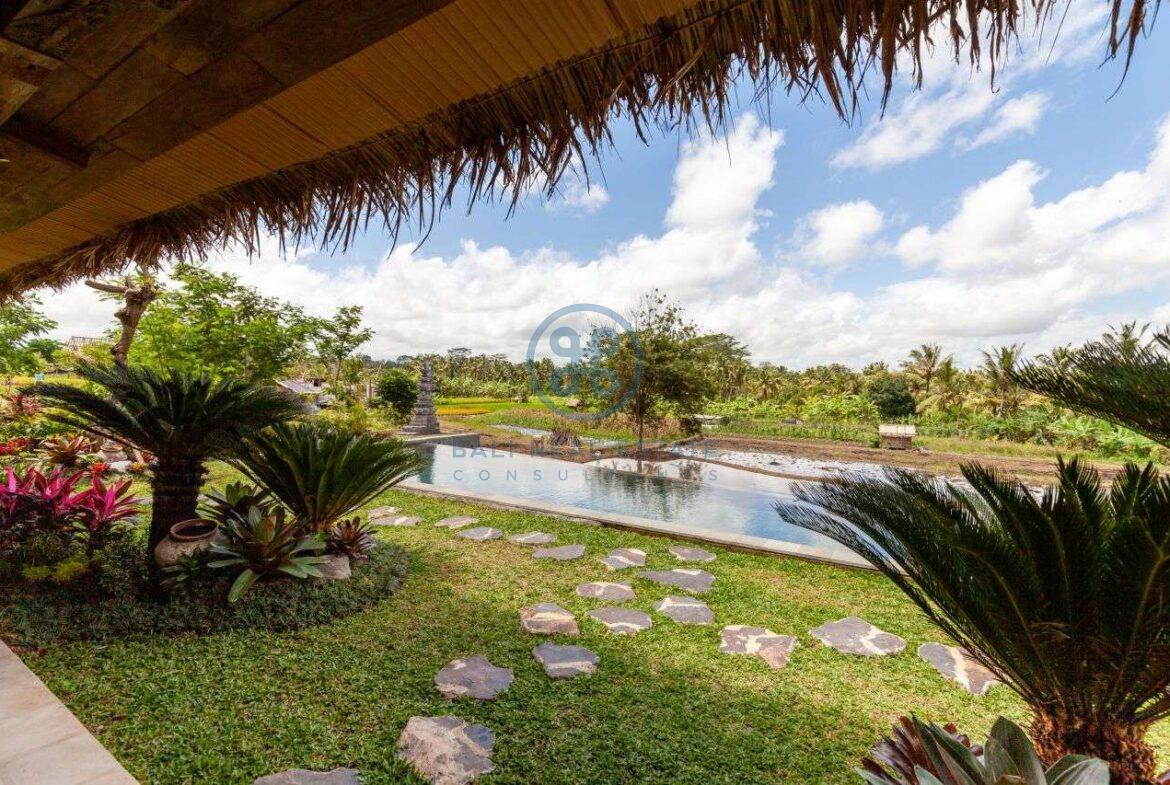 3 bedrooms villa eco ricefield view ubud for sale rent 5