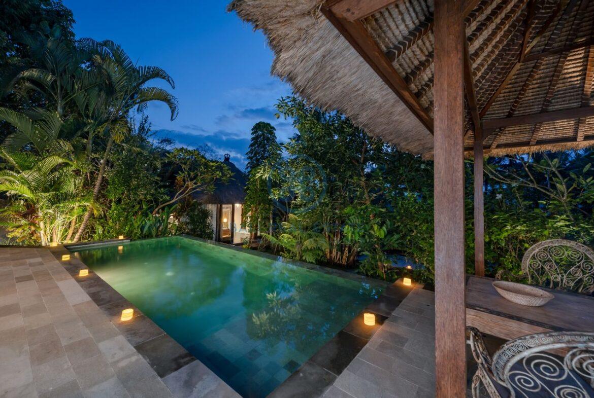 3 bedrooms villa overlooking river sayan ridge ubud for sale rent 15