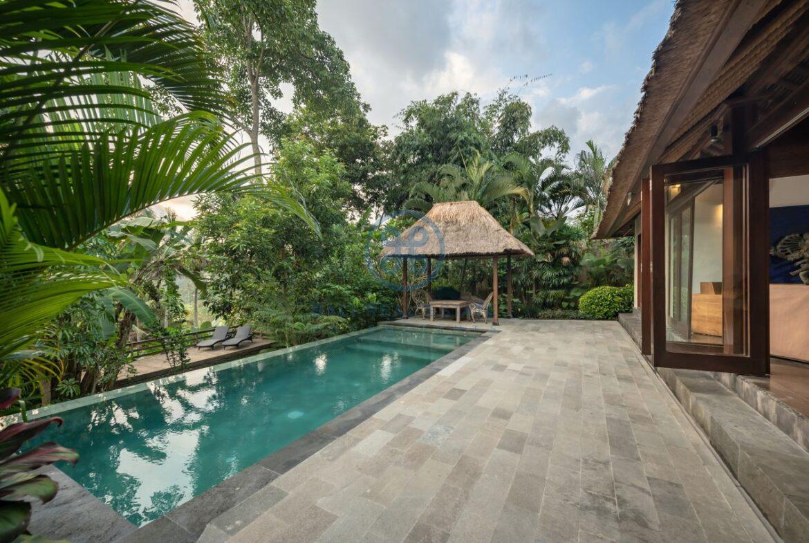 3 bedrooms villa overlooking river sayan ridge ubud for sale rent 8