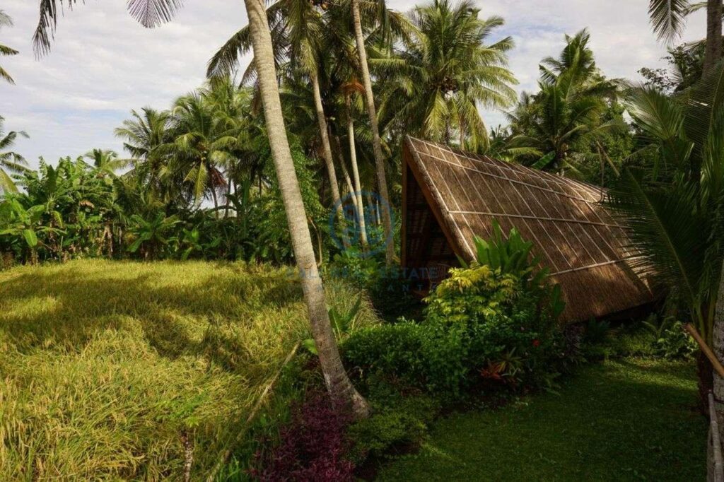 3 bedrooms villa retreat ricefield view kedungu for sale rent 2