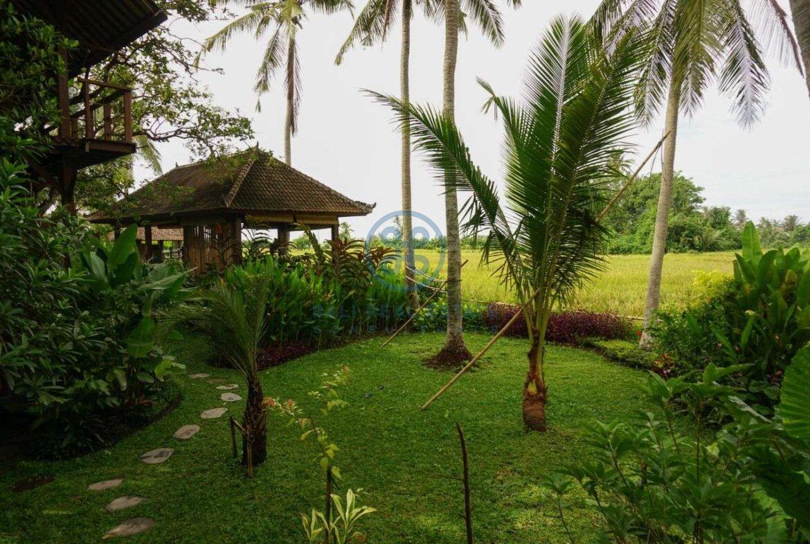 3 bedrooms villa retreat ricefield view kedungu for sale rent 4