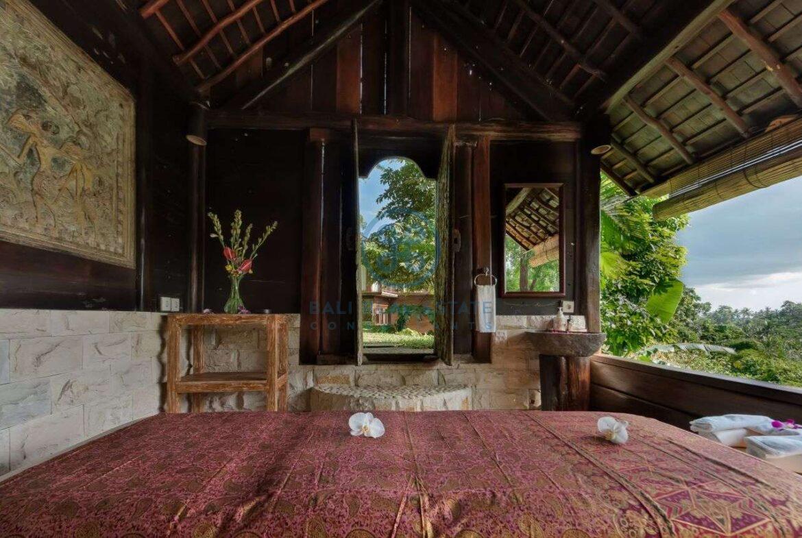 3 bedrooms villa ubud valley view for sale rent 1