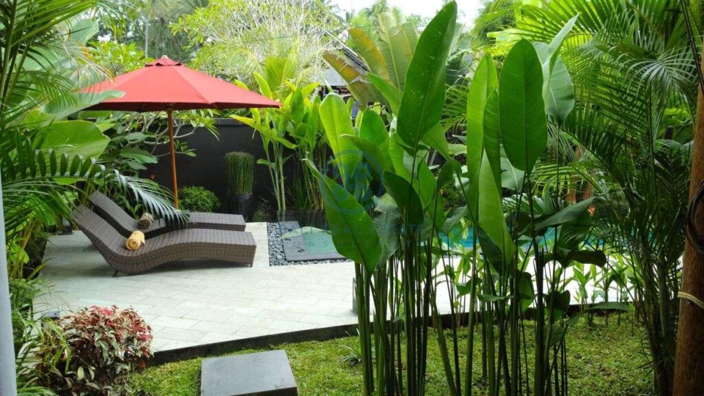3 bedrooms villa with lanscaped garden view ubud for sale rent 30