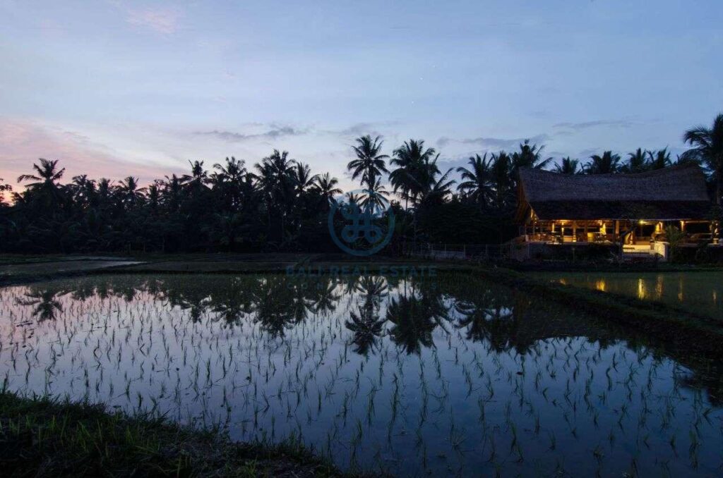 3 bedrooms villa with ricefields jungle view ubud for sale rent 13