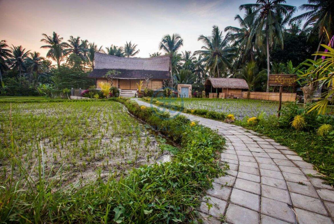 3 bedrooms villa with ricefields jungle view ubud for sale rent 14