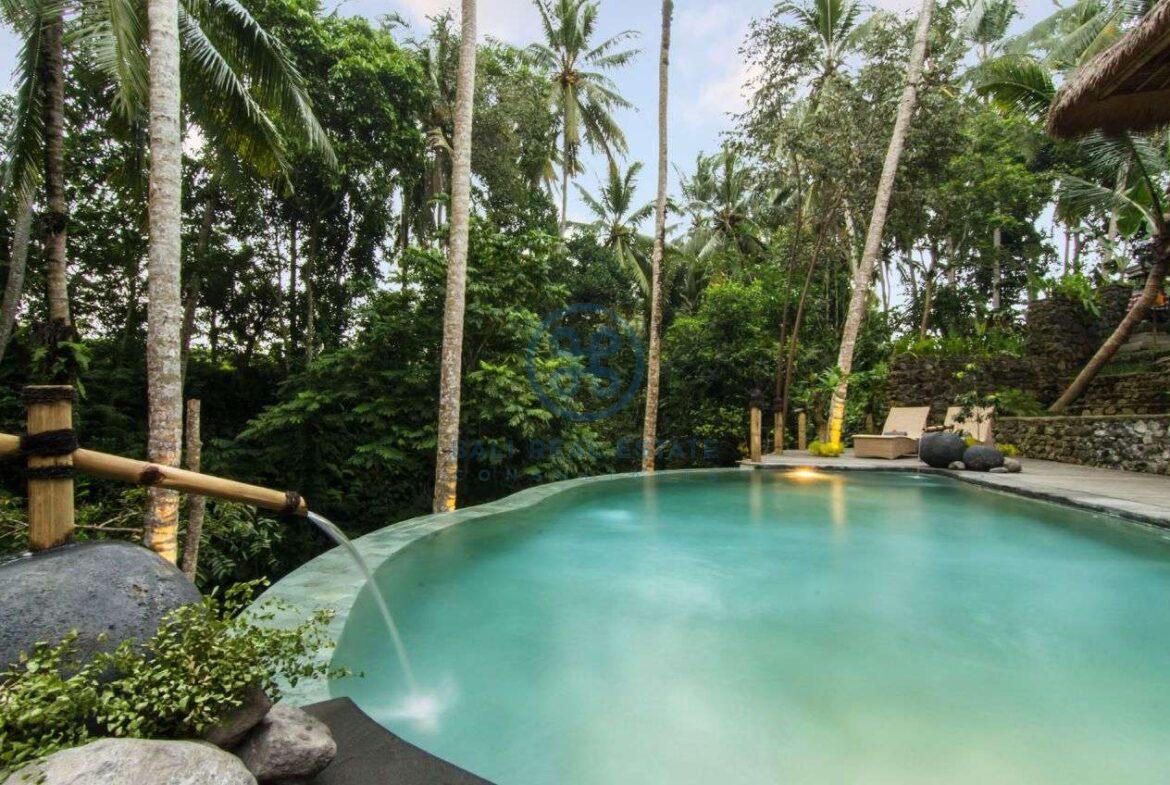 3 bedrooms villa with ricefields jungle view ubud for sale rent 22