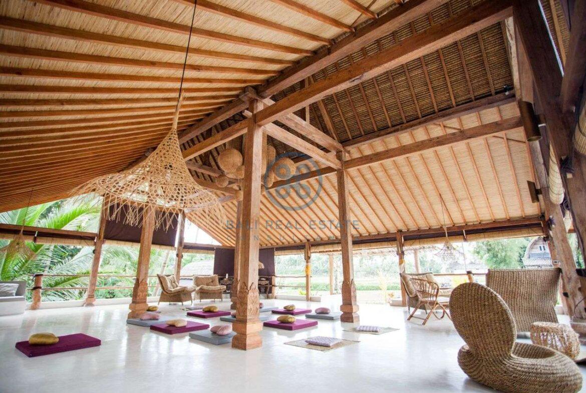 3 bedrooms villa with ricefields jungle view ubud for sale rent 3