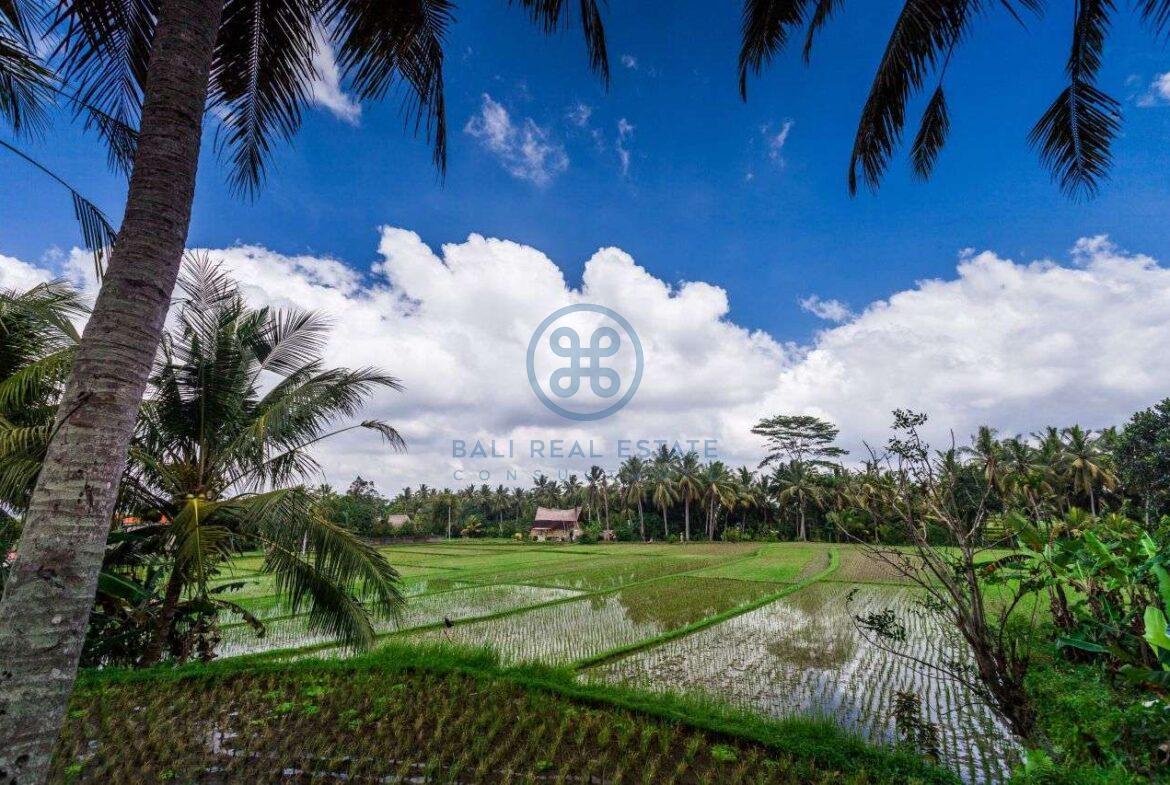 3 bedrooms villa with ricefields jungle view ubud for sale rent 9