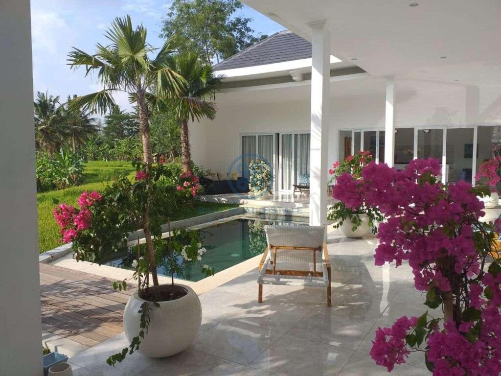 modern 3 bedrooms villa ricefield view ubud for sale rent 4