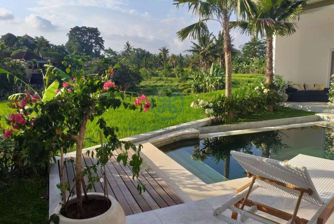 modern 3 bedrooms villa ricefield view ubud for sale rent 7