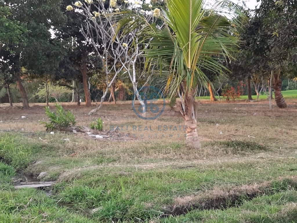 are land in kaba kaba for sale