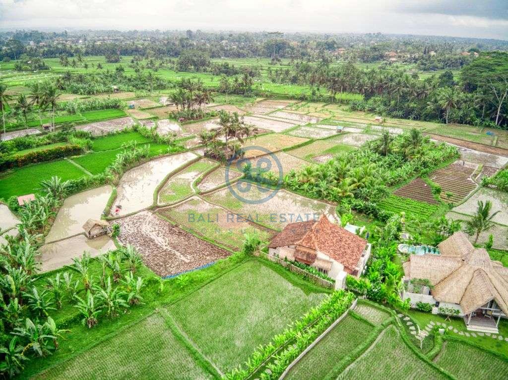 bedrooms villa rice field view ubud for sale rent