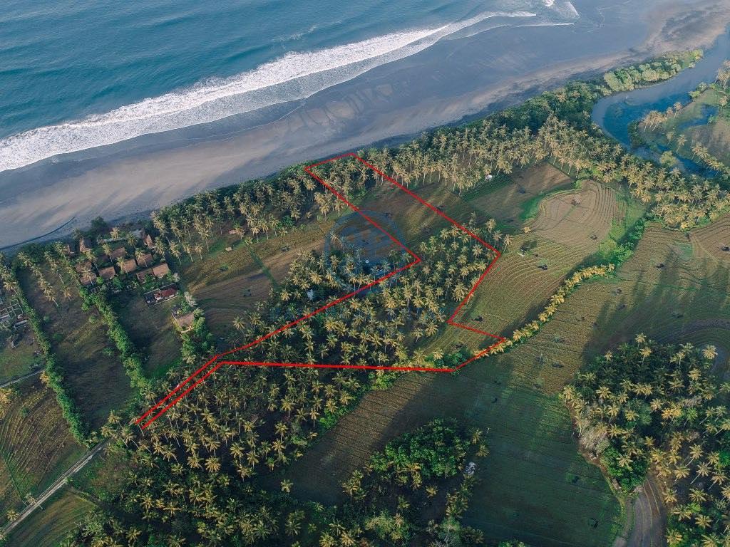 beach front land for sale in balian
