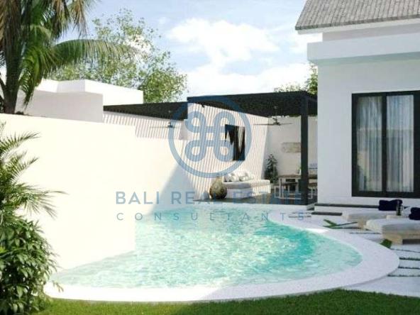 bedrrom brand new villa in bingin for sale rent