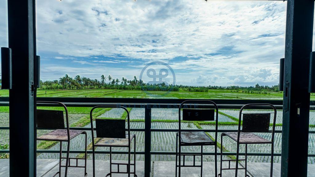bedroom villa rice field view tabanan for sale rent