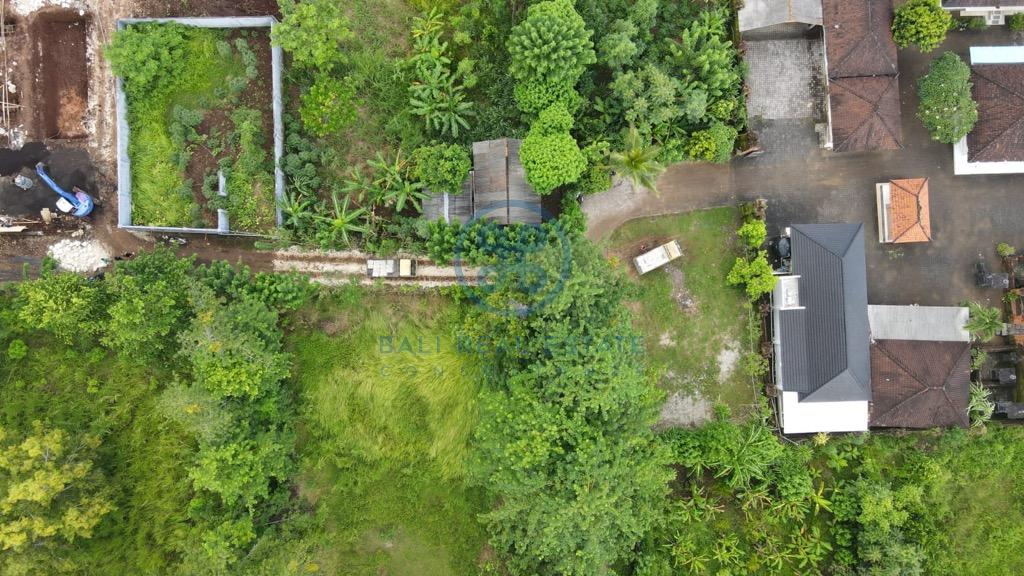 are plot of land in bingin for sale