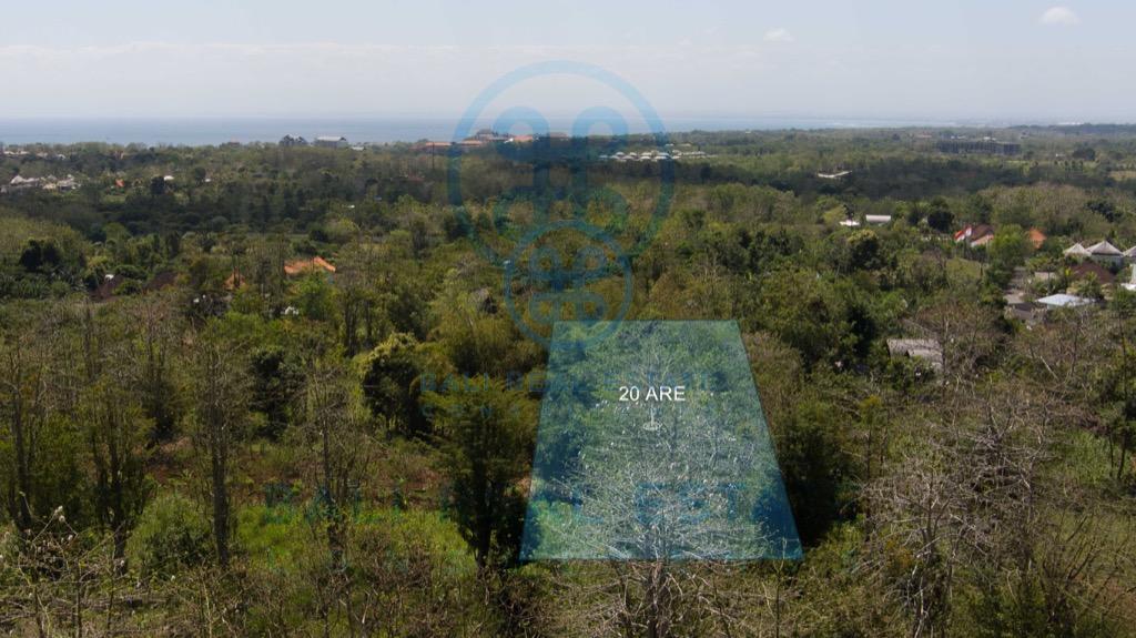 are plot of land in bingin for sale
