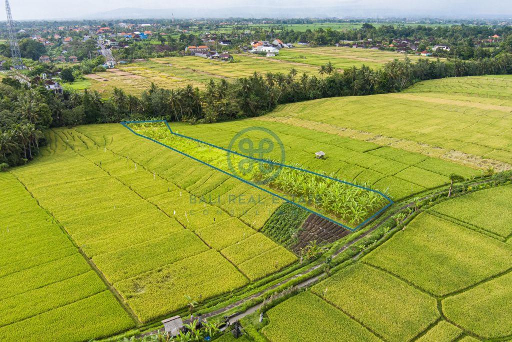 are land buwit bali for sale rent